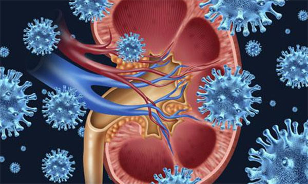 晚上喝豆浆好吗 哪些人不适合晚上喝豆浆